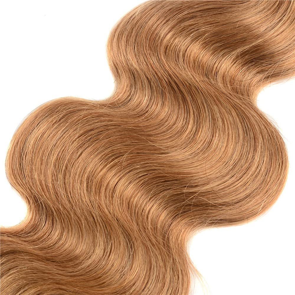 13A T1B/27 Virgin Remy Body Wave